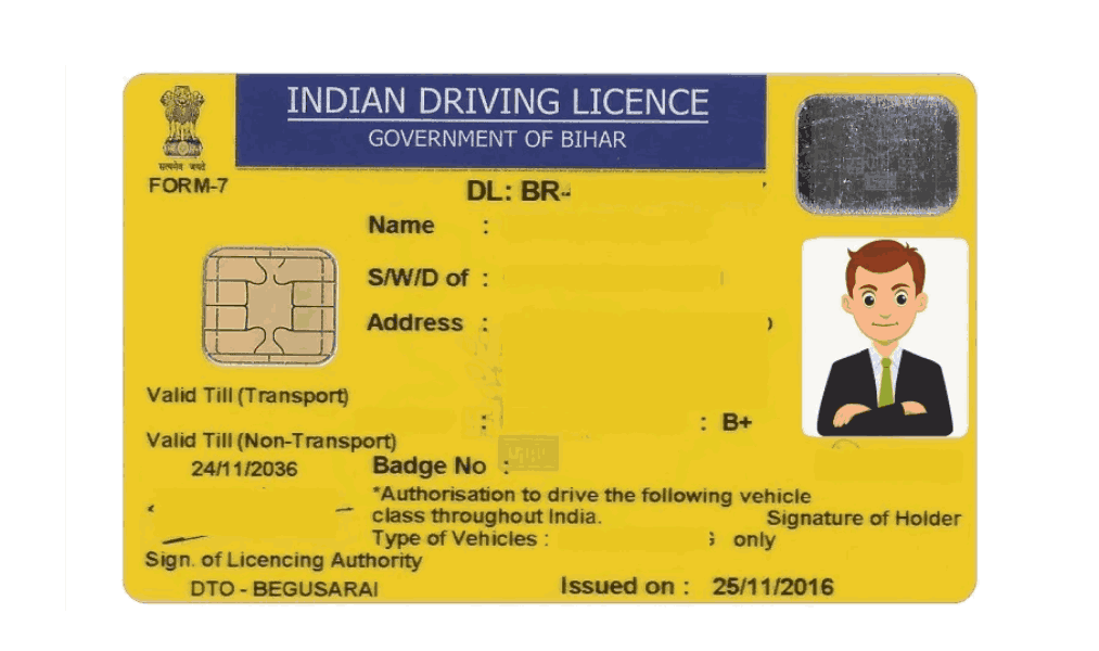 Driving Licence Crop